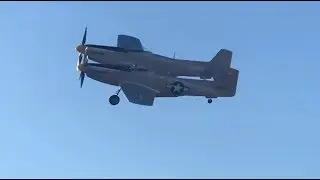 First Flight of World's Only Flying XP-82 Twin Mustang !