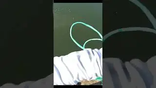 Сюрприз в моей новой сети