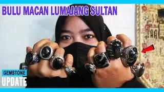 GEMSTONES UPDATE 18022023 - BATU BULU MACAN LUMAJANG INDONESIA BASALTIC TIGER GLASS