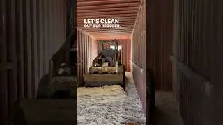 Выращиваем 4000 цыплят в год в нашем грузовом контейнере, переоборудованном под брудер! Вот как м...
