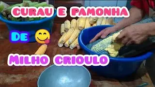 FAZENDO CURAU E PAMONHA,DE MILHO CRIOULO,NO SÍTIO!😲🐝🌽😋