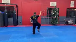 Shaolin 13 Fists