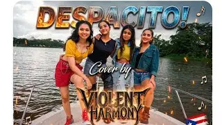 Despacito Cover by Violent Harmony