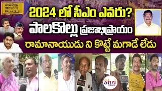 Palakollu Public Talk | AP Public Talk 2024 Election | YS Jagan | #APNextCM2024 | Nimmala Ramanaidu
