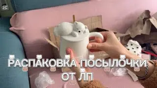 РАСПАКОВКА😻 ПОСЫЛОЧКИ ОТ ЛП💕❤️&zwj;🔥💖🫂//Hello Eva 
