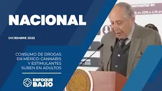 Drug use in Mexico: cannabis and stimulants on the rise among adults