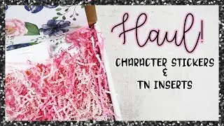 Haul // Etsy Stickers & 1407 Planners