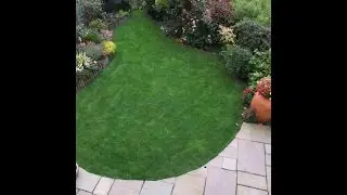 Our garden in summer 1