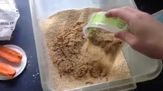 Breeding Meal Worms- Part 1 Setup | Grow Your Own