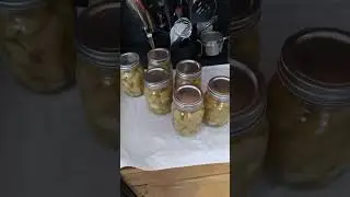 Canning Apples
