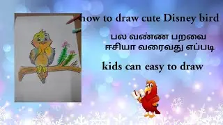 how to draw a cute Disney bird easy..... பல வண்ண பறவை ஈசியா வரைவது எப்படி