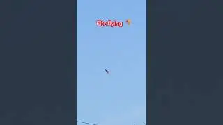 kite flying season #viral #trending #kiteflying