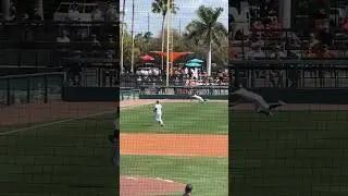 What a catch!  Or is it? #orioles #sports #shorts #mlb #baseball #baltimoreorioles