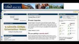 Information Technology Services