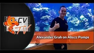 Abyzz Pumps: Alex on Abyzz