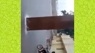 Funny friends race