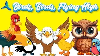 🎵Birds, Flying High | Fun and Educational Song About Birds for Kids @kidszonelearnwithfun615