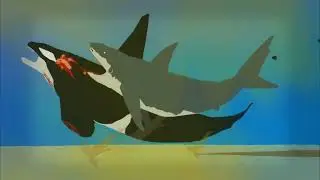 Orca vs Great White Shark but cartoon sound effects