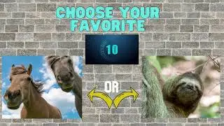 This or That Fitness Choice: Animals