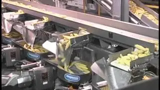 Corn on a Marathon Distribution Shaker
