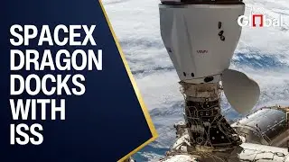 LIVE: SpaceX Cargo Dragon Docks with ISS on Resupply Mission