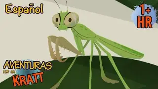 Mantis Religiosa | DIBUJOS ANIMADOS | Aventuras con los Kratt | Scholastic Kids en Español