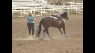 Chelsie's Natural Horsemanship Demo at Gymkhana in Taylor, AZ 08-02-08 PART 1 OF 2 - Horses Video