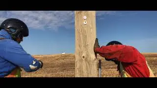 Genics Test And Treatment of Utility Power Poles