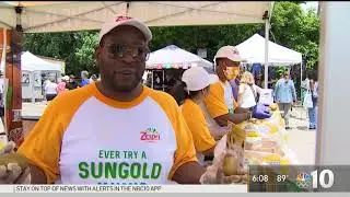 From Splash Pads to Free Museum Day: Getting Out of the Heat in Philly | NBC10