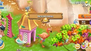 New Bird Unlocked 🦩 | American Flamingo Arrives in Hay Day!