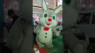 cute rabbit#southindia#shoppingmall#vizag#shopping#ytshorts#shorts|She Shore|
