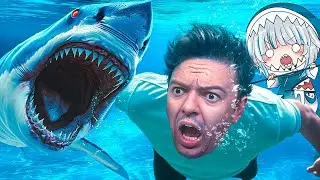 I Swam With A Shark 😱 [NEW Sharks and Minnows Horror Game]