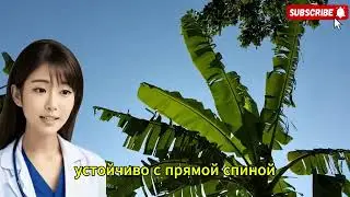 Бесплатный насос для тестостерона - всего 3 минуты утром вернет Потенцию