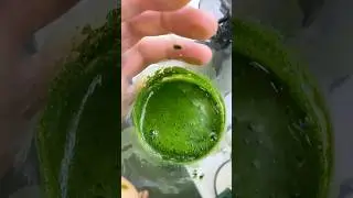 How To Grow Barley Grass in 30 Seconds. 🌱 #superfoods #greensmoothierecipe #homestead
