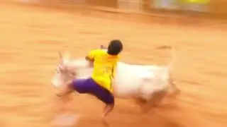 jalli kattu song /2021/MK creation