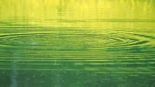 Maintaining a Catfish Pond | Farm Raised With P. Allen Smith