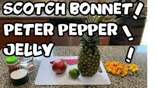 🌶️ How To - Scotch Bonnet, Peter Pepper, Mango & Pineapple Jelly 🌶️