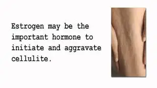 Hide Cellulite