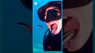 UNDERWATER DENTIST