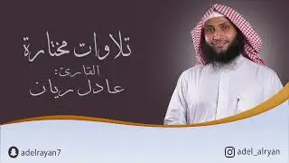 ﴿إنك لا تهدي من أحببت..﴾ ماتيسر من سورة 