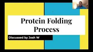 Protein folding process