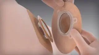 Informative Marketing Animation