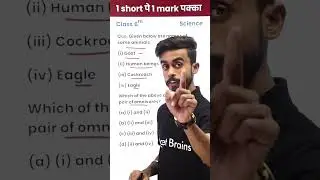 Which Animals Are Omnivores? - 1 Video 1 Mark पक्का in Exam (Class 6th) #shorts