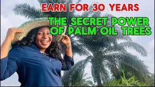 Oil palm plantation
