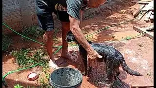 Será?  Que tera resultado?