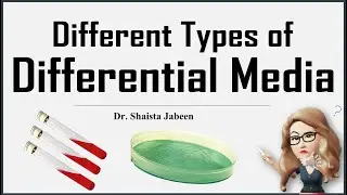 Differential Media I Types I Purpose and Composition I Culture Media I Bacteriology I Microbiology