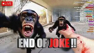 Celebrities Attacked by Animals During Live Broadcasts!! | heyzabd