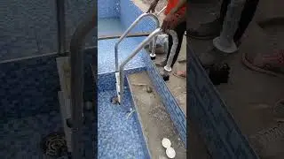 swimming pool ladder installation