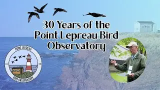 30 Years of the Point Lepreau Bird Observatory with Jim Wilson