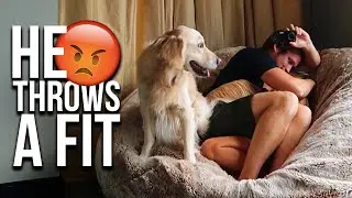 My Dog Gets Jealous When I Love My Girlfriend